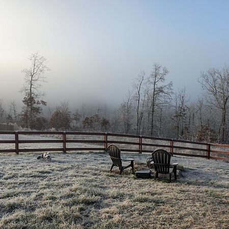 Great Little Guest Suite With Private Entry & Deck! Pet Friendly & 30 Mins To Nashville! Ashland City ภายนอก รูปภาพ