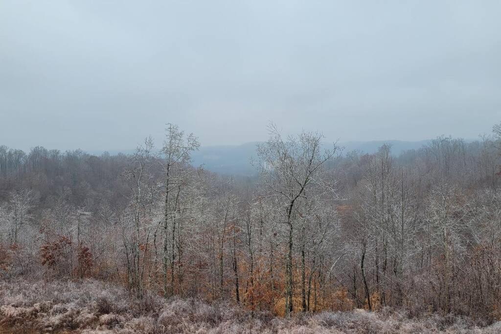 Great Little Guest Suite With Private Entry & Deck! Pet Friendly & 30 Mins To Nashville! Ashland City ภายนอก รูปภาพ