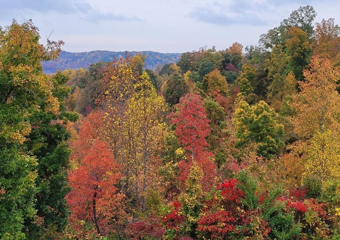 Great Little Guest Suite With Private Entry & Deck! Pet Friendly & 30 Mins To Nashville! Ashland City ภายนอก รูปภาพ