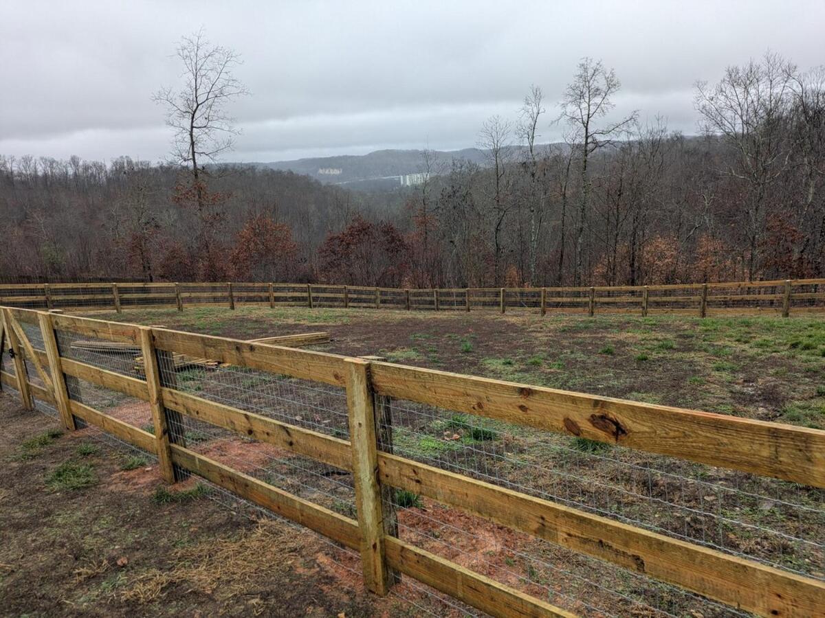 Great Little Guest Suite With Private Entry & Deck! Pet Friendly & 30 Mins To Nashville! Ashland City ภายนอก รูปภาพ